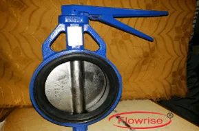 Control Valve Manufacturer